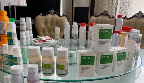 專業(yè)方案,更優(yōu)選擇 河南瀚斯夏季除草劑產品技術培訓會山東曹縣專場圓滿召開